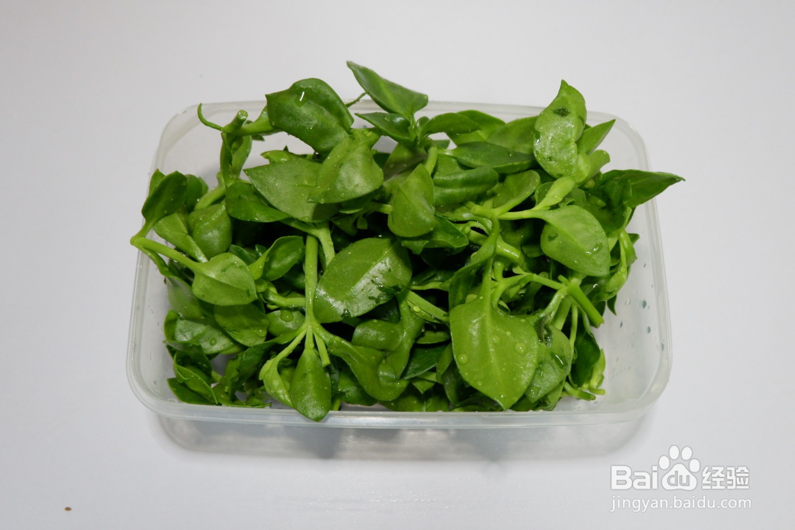 新鲜的田七怎么吃