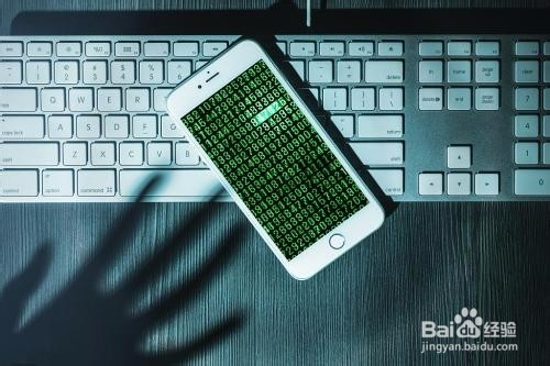 如何搜索信息？