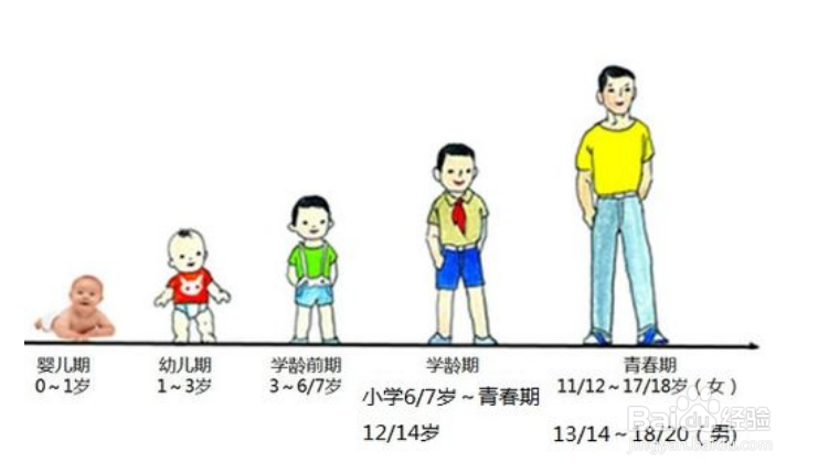 儿童与少年年龄段如何区分