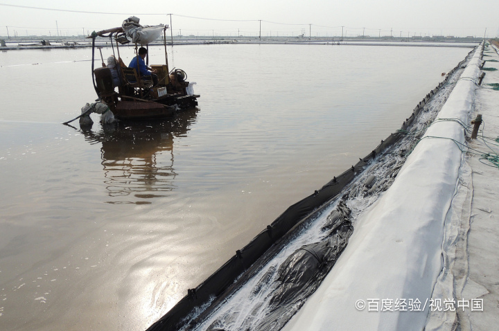 低钠盐是“送命盐”吗
