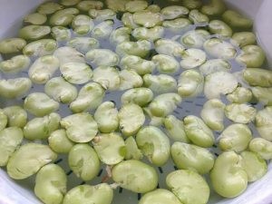 养生食补鲜蚕豆炒鸡蛋的做法