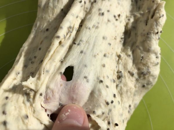 奇亚籽蜜豆燕麦软欧