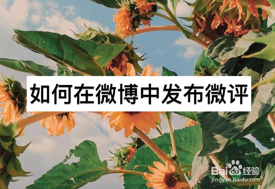 如何在微博中发布微评