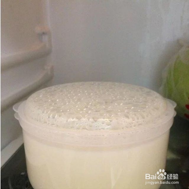 酸奶怎么做法
