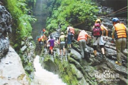 户外徒步旅行怎么避免野兽