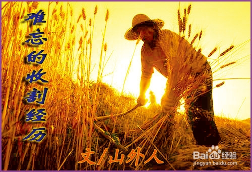 百度经验攻略:再也不用担心没经验写了