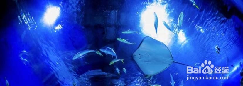 天津外滩有什么好玩的