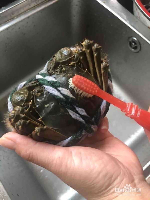 清蒸大闸蟹的做法