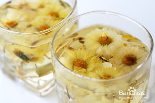 冬季喝什么好？冬季为何要喝菊花茶