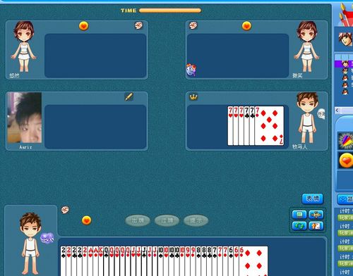 手把手教你如何在网上打保皇