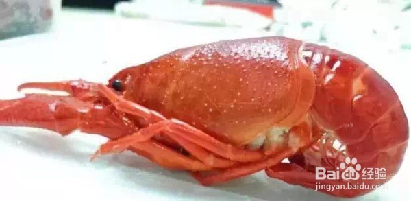 小龙虾怎么吃视频播放