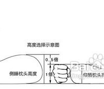 颈椎枕什么牌子好