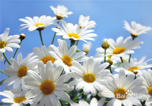 如何去除黑眼圈和眼袋？