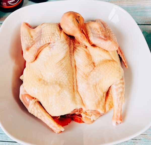 蒸蒸日上营养鸽