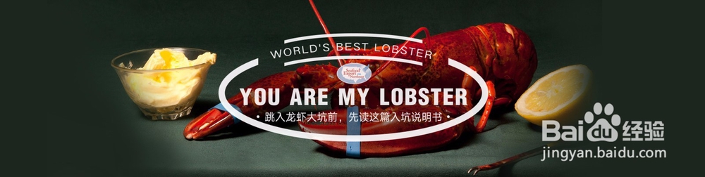 跳入龙虾大坑前,先读这篇入坑说明书