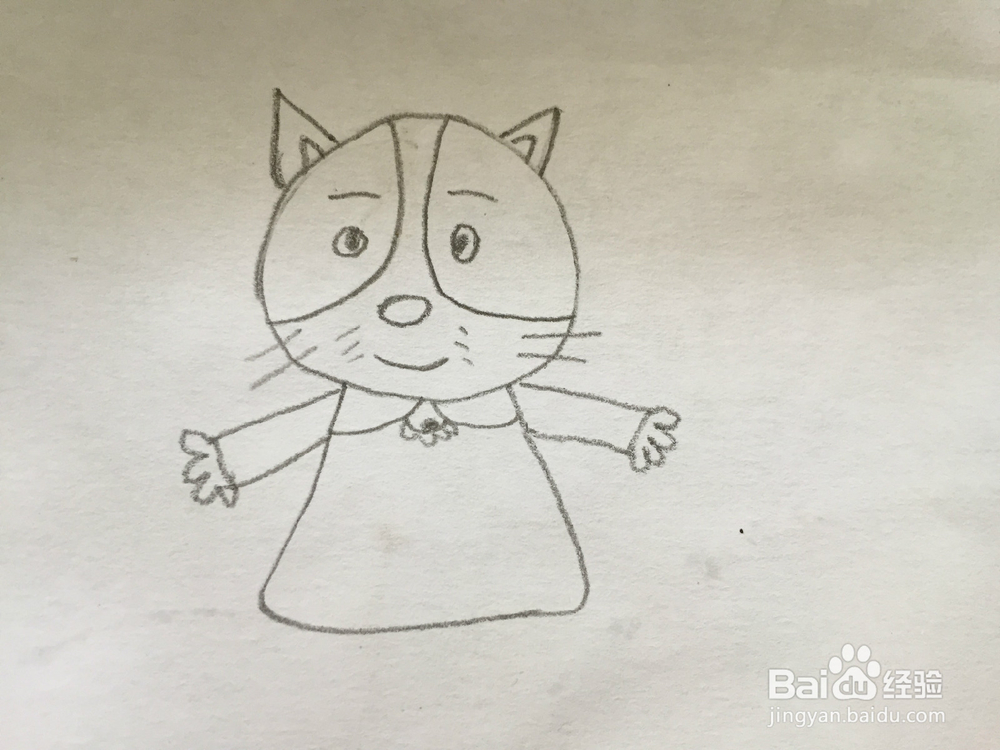 画画——画一只小猫