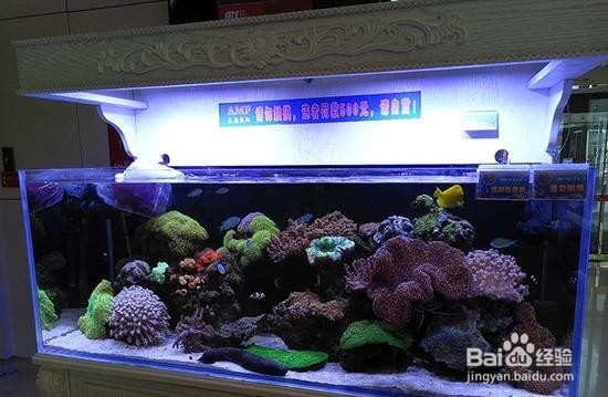 半年打磨时尚良品 魅族PRO 6S评测