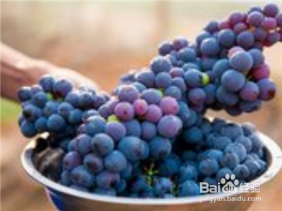 夏天多吃点这些水果，皮肤白到发光