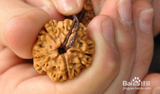 金刚菩提子如何保养和养护