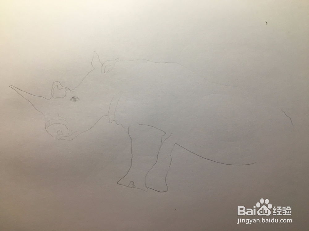 画一只犀牛 犀牛简笔画 幼儿绘画 儿童绘画