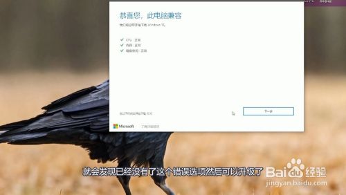 win10升级当前的活动分区已压缩怎么办？