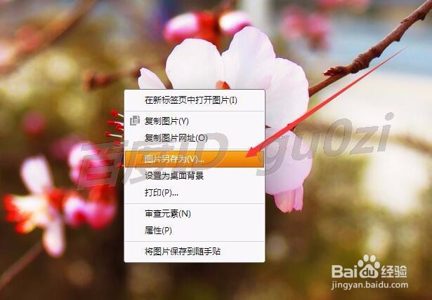 浏览器怎么快速保存图片修改保存位置以猎豹为例