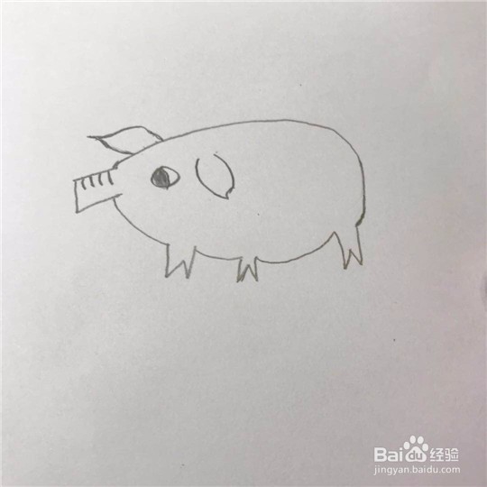 小猪的简笔画画法