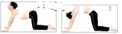 背部放松减肥操