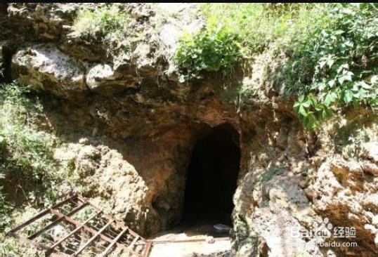 如何在小海岛上生存？