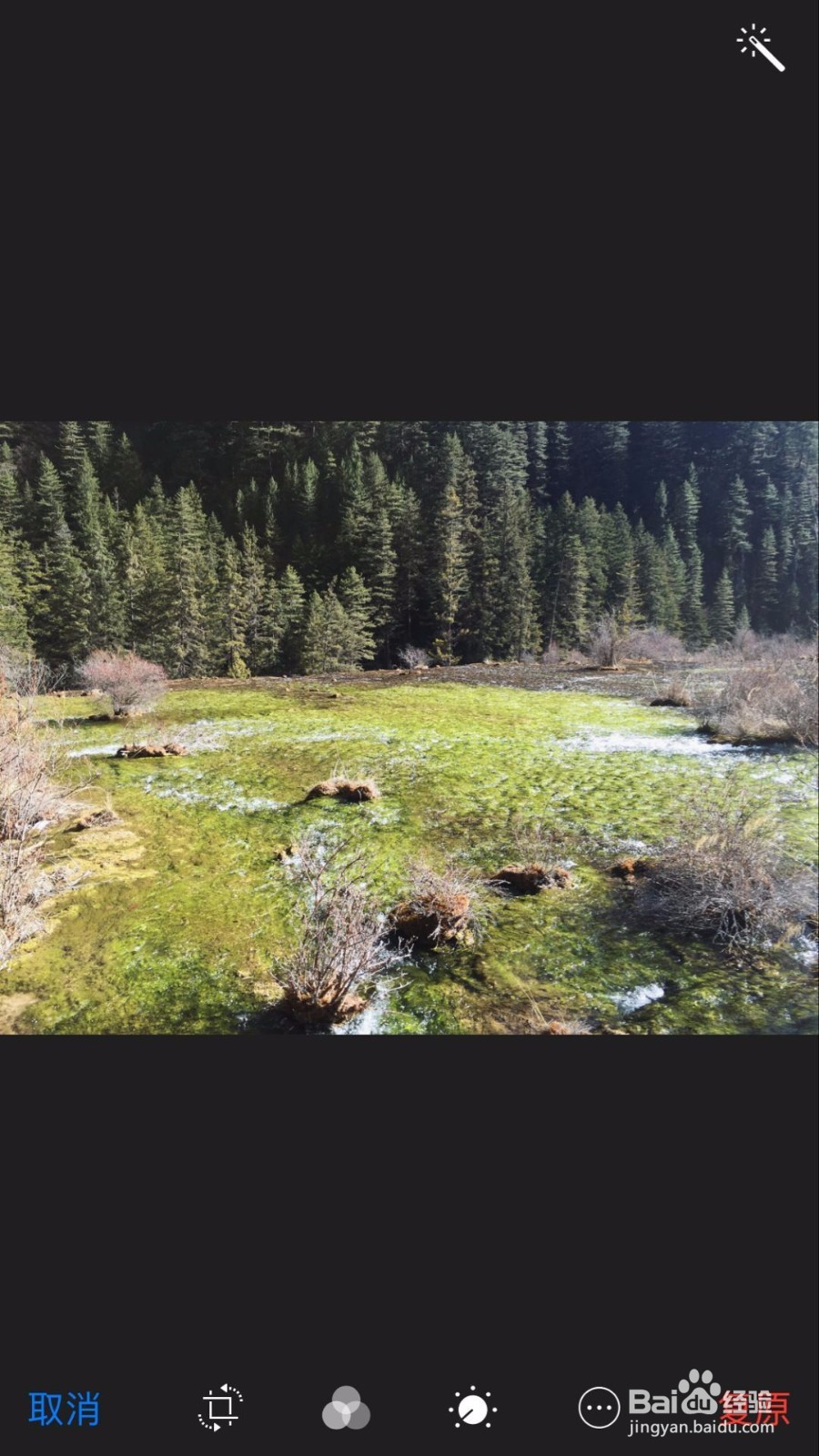 苹果手机把照片变成黑白艺术照的5个方法