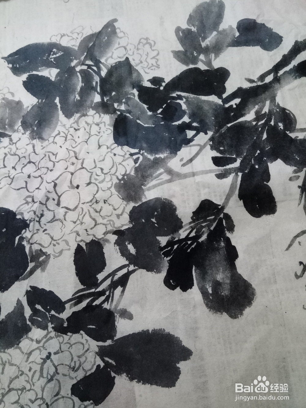 绣球花的画法及步骤