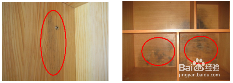 家里衣柜壁橱内里返潮、发霉，该如何处理？