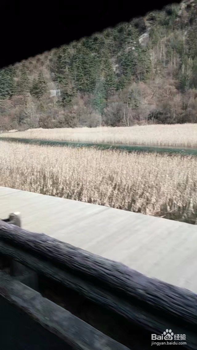 九寨沟景区内那些不可错过的景点