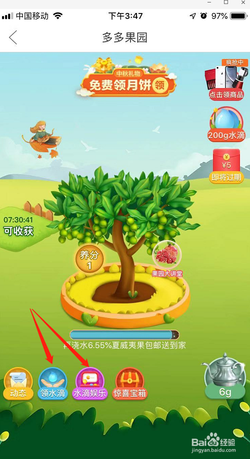 拼多多在多多果园种的水果树,果实送回来要钱吗?