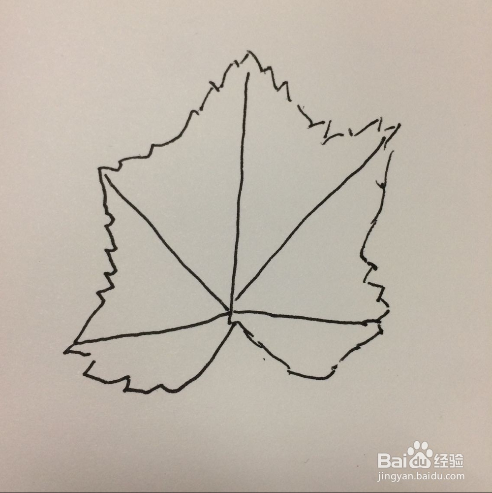 怎样简笔画树叶