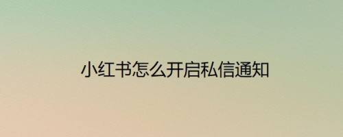 小红书怎么开启私信通知