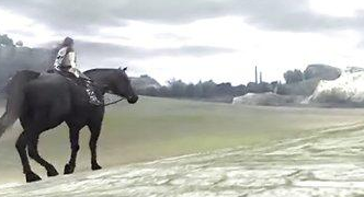 旺达与巨像骑马技巧