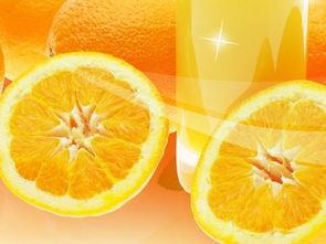 如何让自己的宝宝变得越来越聪明呢？