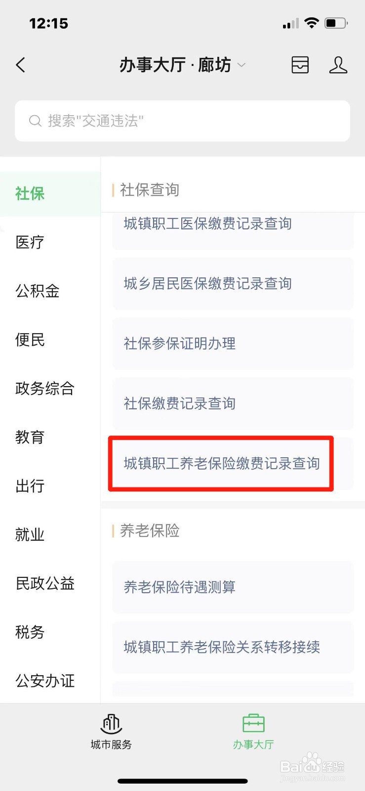 手机上怎么查2024城镇职工养老保险缴费记录