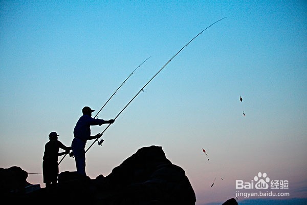 夜钓鲤鱼必备关键技巧有哪些