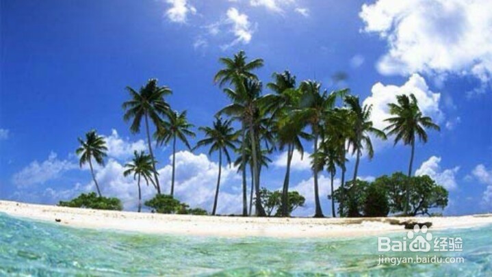 过年去旅游需要准备什么？