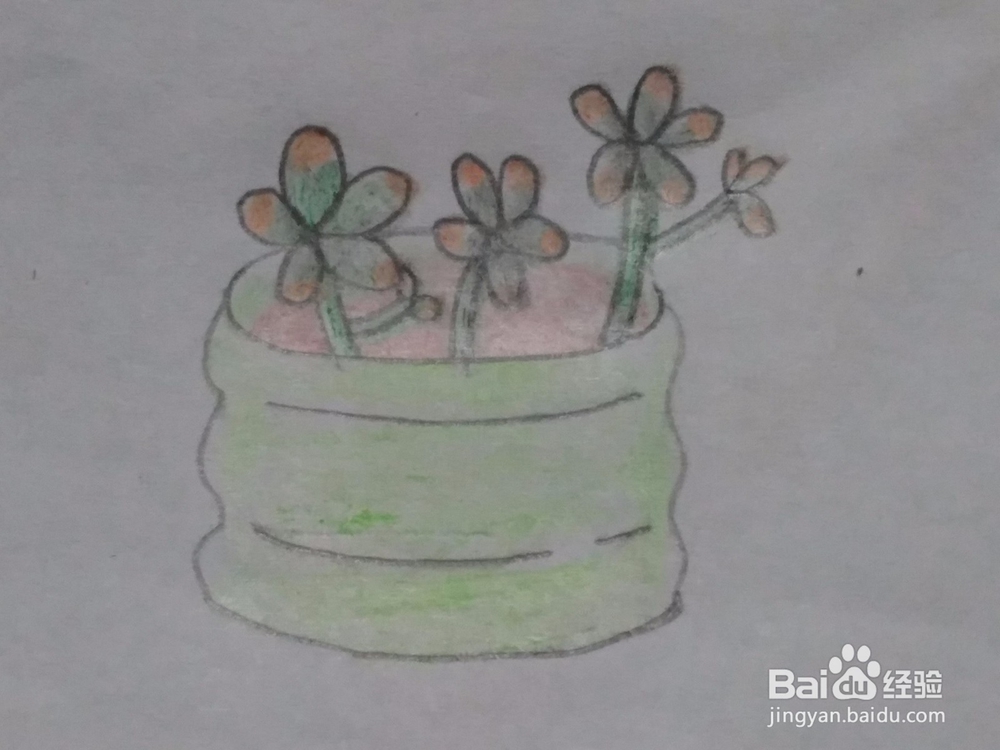 多肉 简笔画 绘画教程2