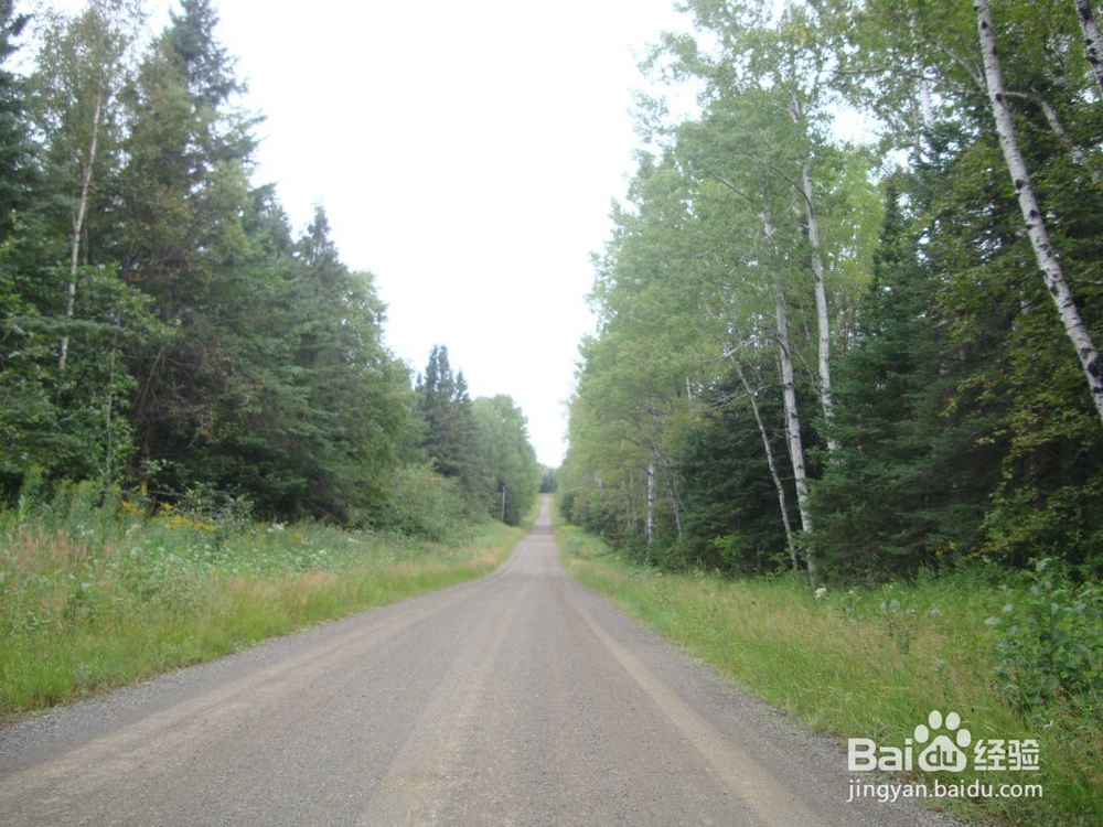 徒步爱好者的旅游圣地之一苏必利尔步道