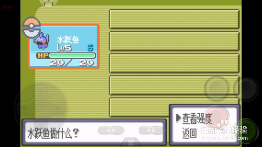 口袋妖怪绿宝石初始精灵水跃鱼性格选择。