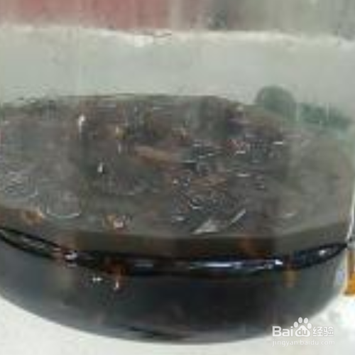 马蜂酒怎么泡制