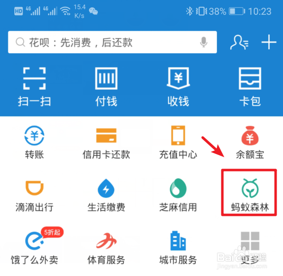蚂蚁森林里需要能量最多的树种是什么?