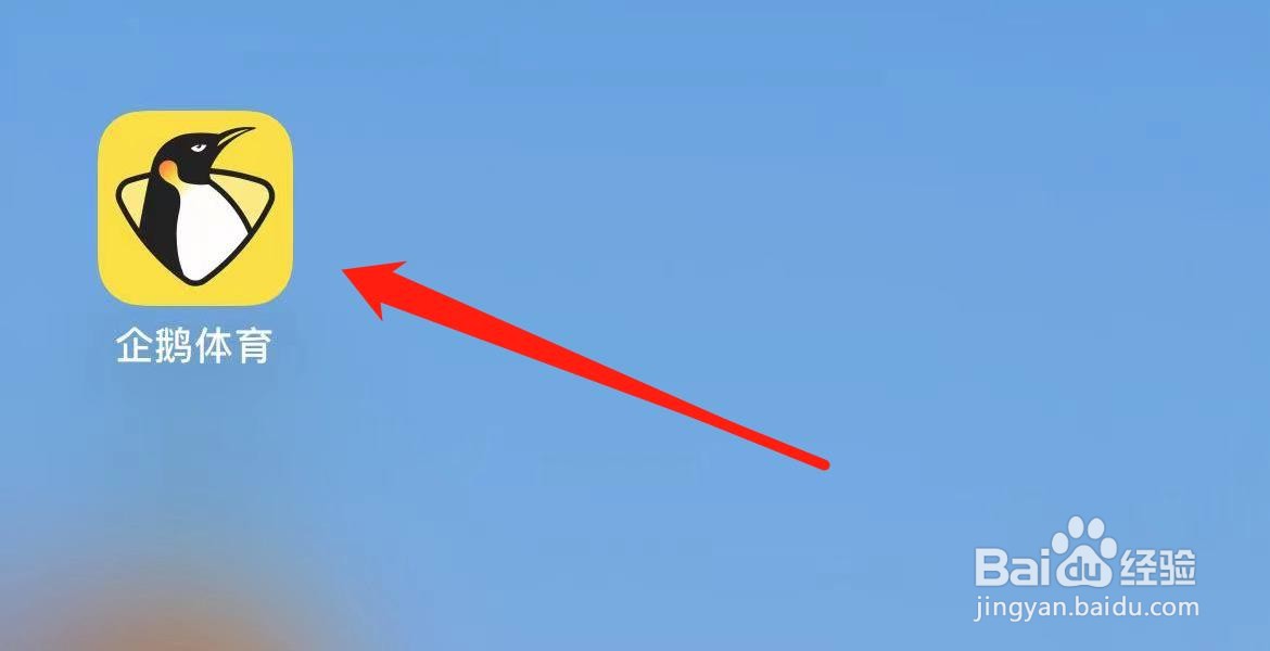 企鹅体育在哪里关注主播？