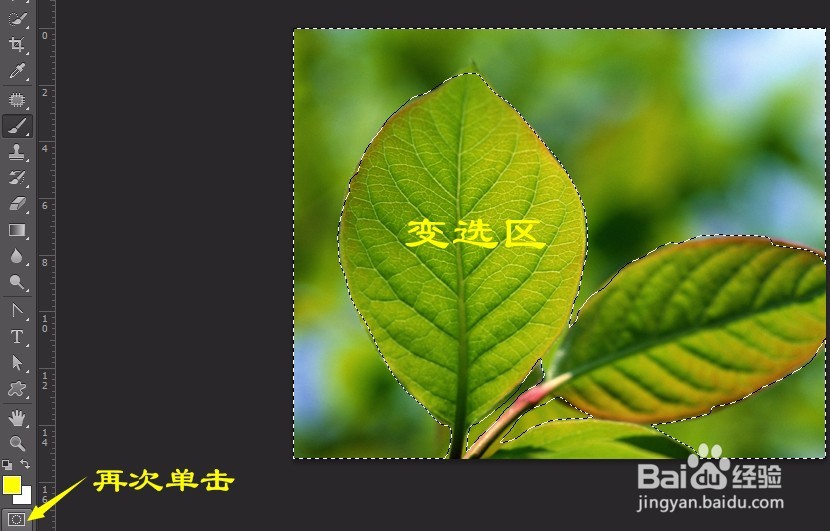 PS实例:抠图方法、技巧集合(二)