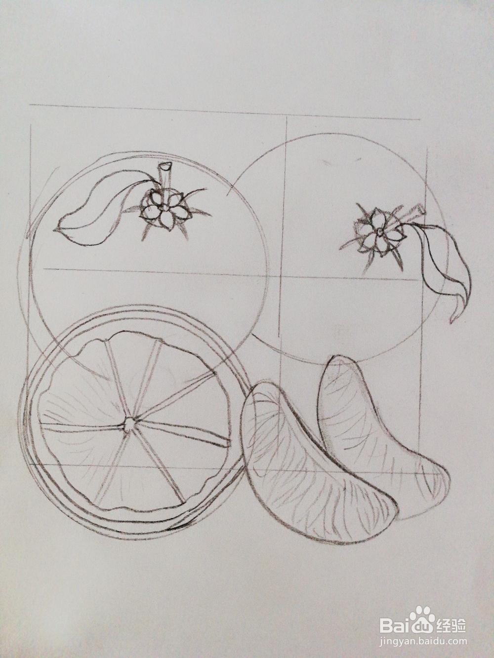 手绘三个橙子卡通绘本插图