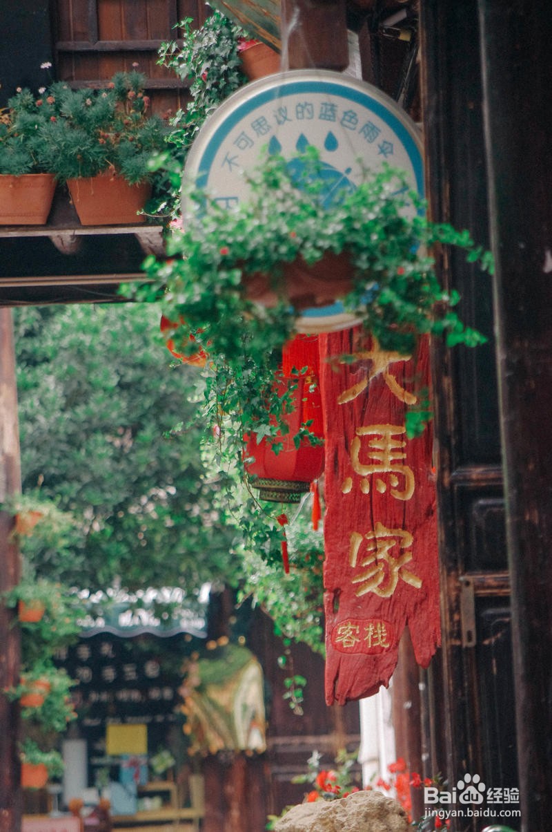 大理和丽江漫游简记1